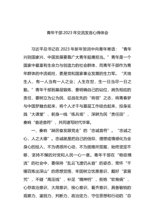 青年干部2023年交流发言心得体会
