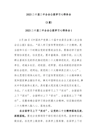 2023二十届二中全会公报学习心得体会