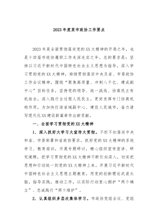 2023年度某市政协工作要点