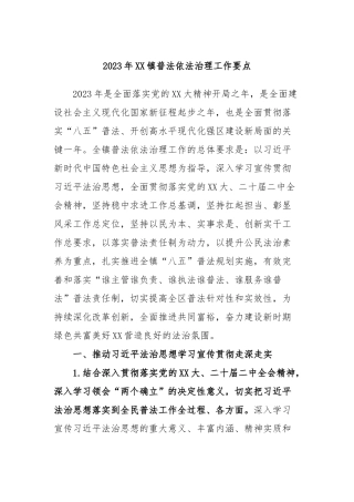 2023年镇普法依法治理工作要点