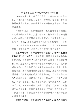 学习贯彻2023年中央一号文件心得体会