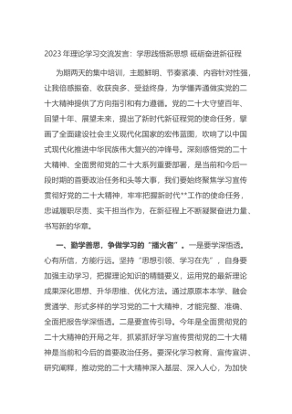 2023年理论学习交流发言：学思践悟新思想+砥砺奋进新征程