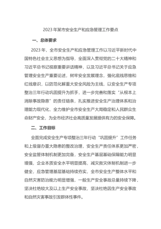 2023年某市安全生产和应急管理工作要点