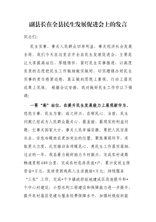 副县长在全县民生发展促进会上的发言