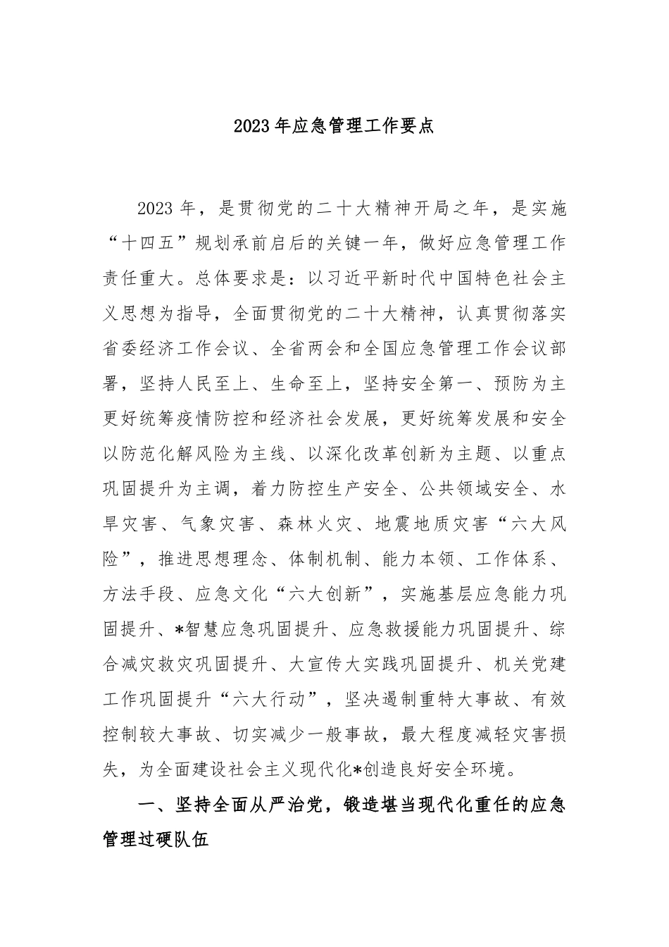 2023年应急管理工作要点_第1页