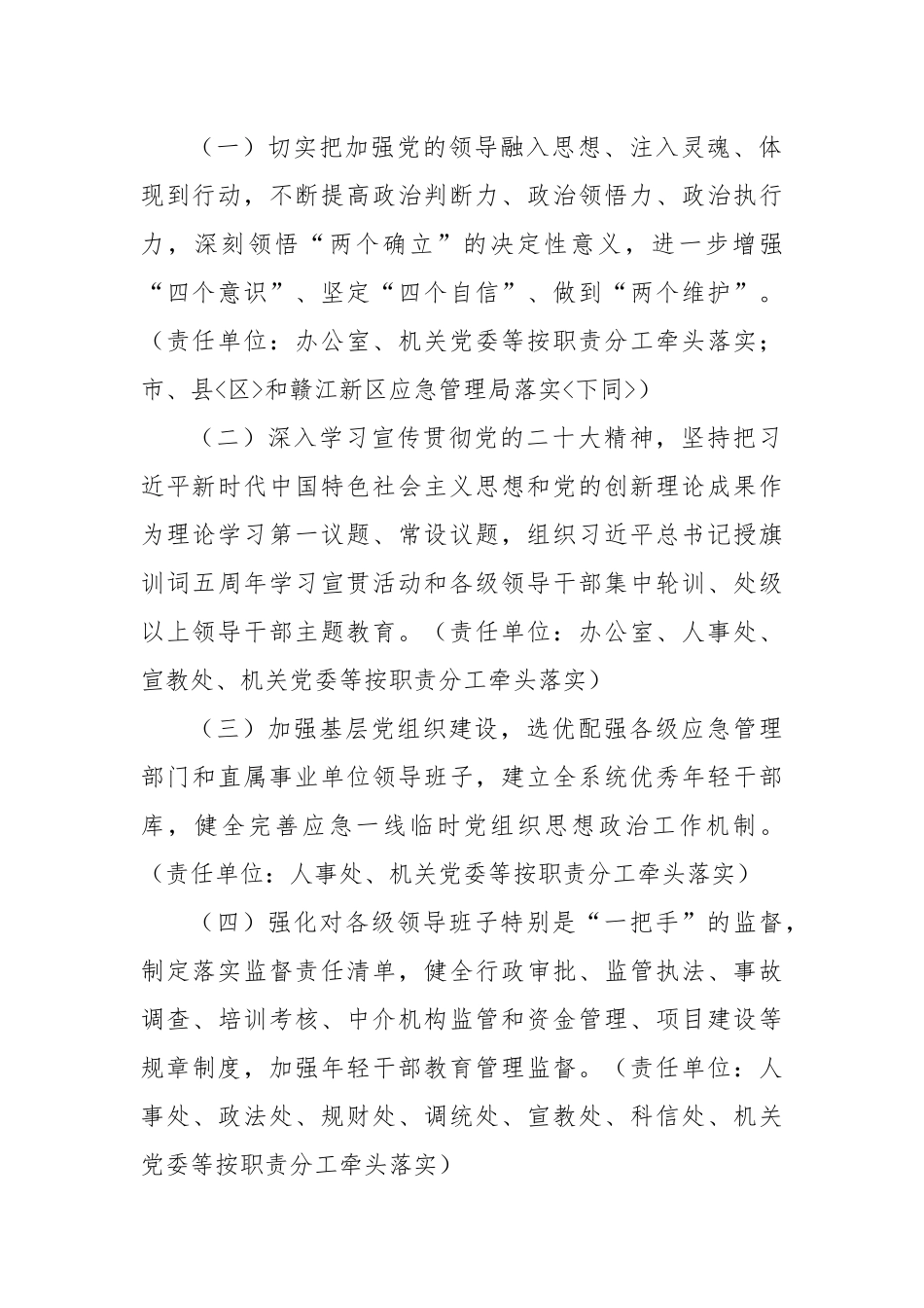 2023年应急管理工作要点_第2页