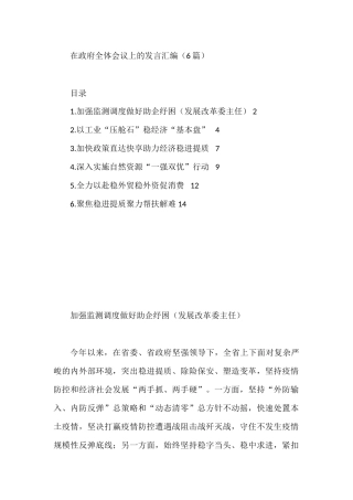 2023年在政府全体会议上的发言6篇