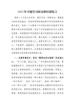 2023年专题学习研讨班培训发言