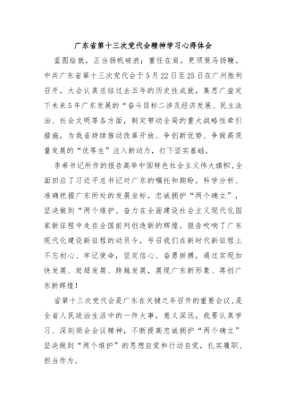 广东省第十三次党代会精神学习心得体会