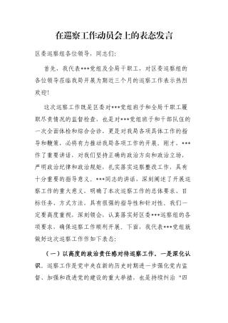 在巡察工作动员会上的表态发言