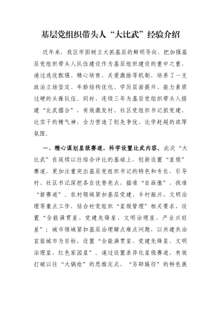 基层党组织带头人“大比武”经验介绍
