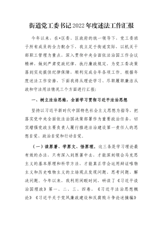 街道党工委书记2022年度述法工作汇报