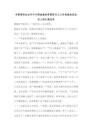 专管领导在全市今冬明春森林草原防灭火工作电视电话会议上的汇报发言