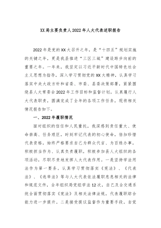 局主要负责人2022年人大代表述职报告