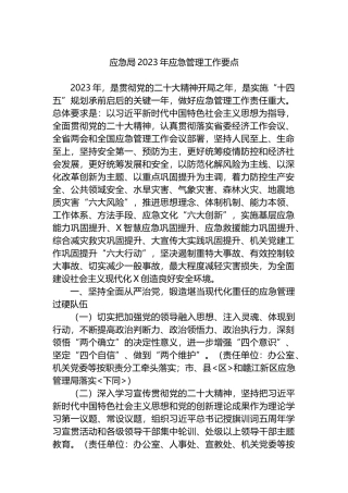 应急局2023年应急管理工作要点