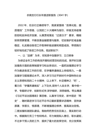 农商支行行长年度述职报告