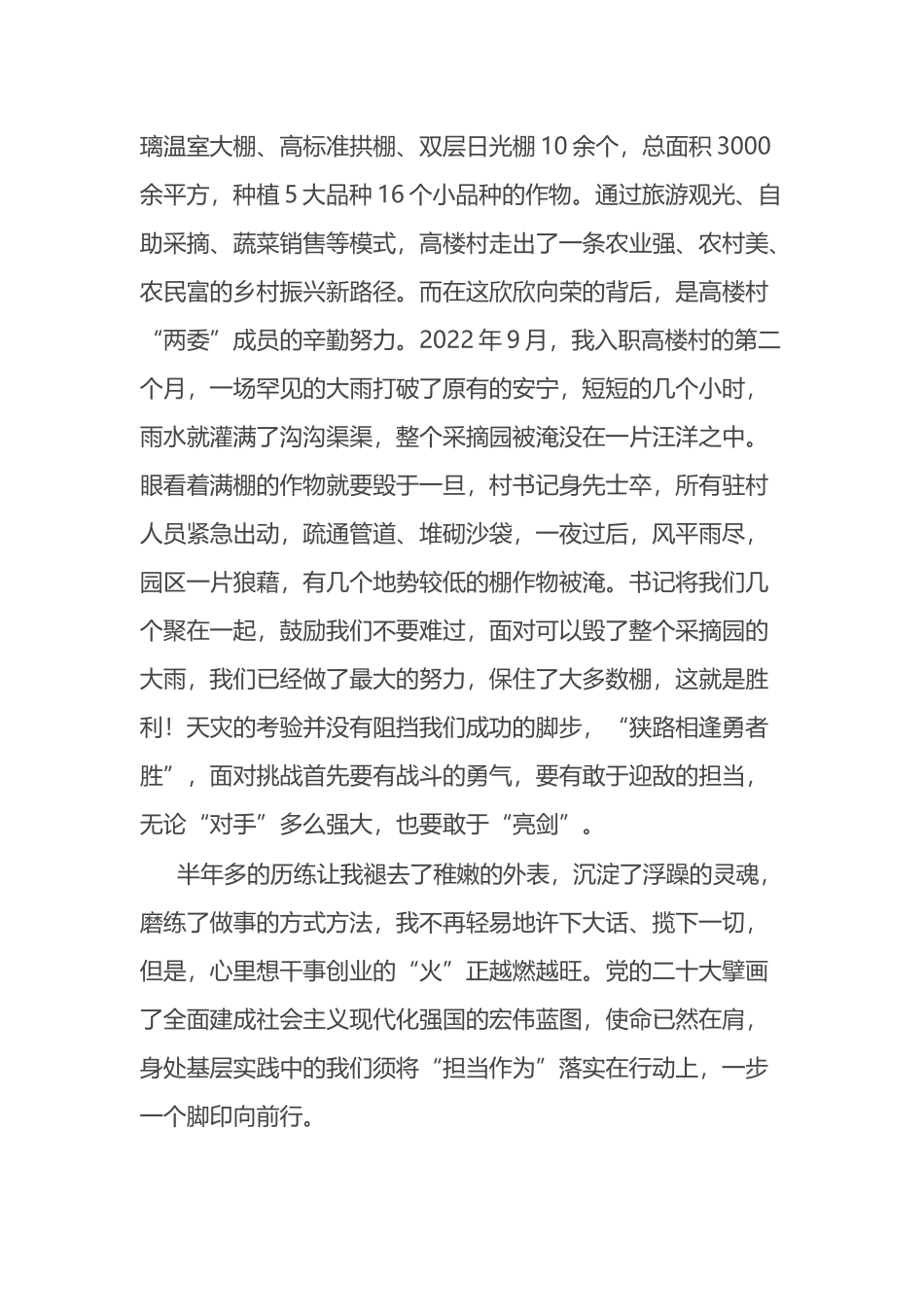 “学习两会精神，践行青年担当”主题征文汇编（2篇）_第3页