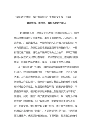 “学习两会精神，践行青年担当”主题征文汇编（2篇）