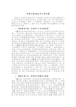区审计局2022年工作汇报