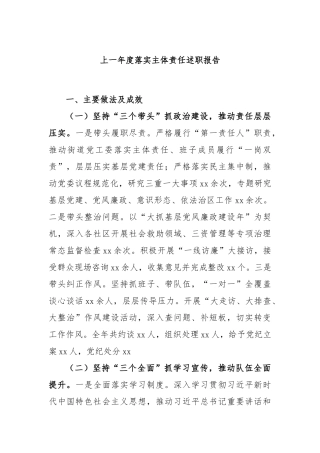 上一年度落实主体责任述职报告