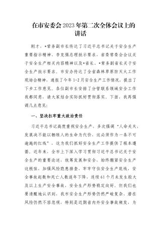 在市安委会2023年第二次全体会议上的讲话