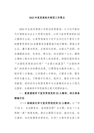 2023年度某高校共青团工作要点