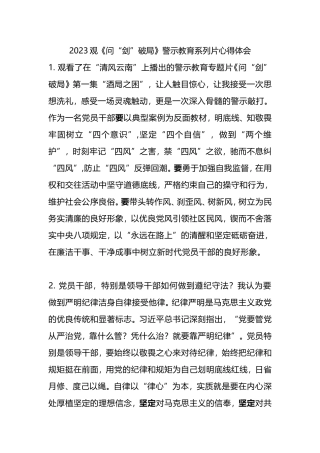 2023年观《问“剑”破局》警示教育系列片心得体会