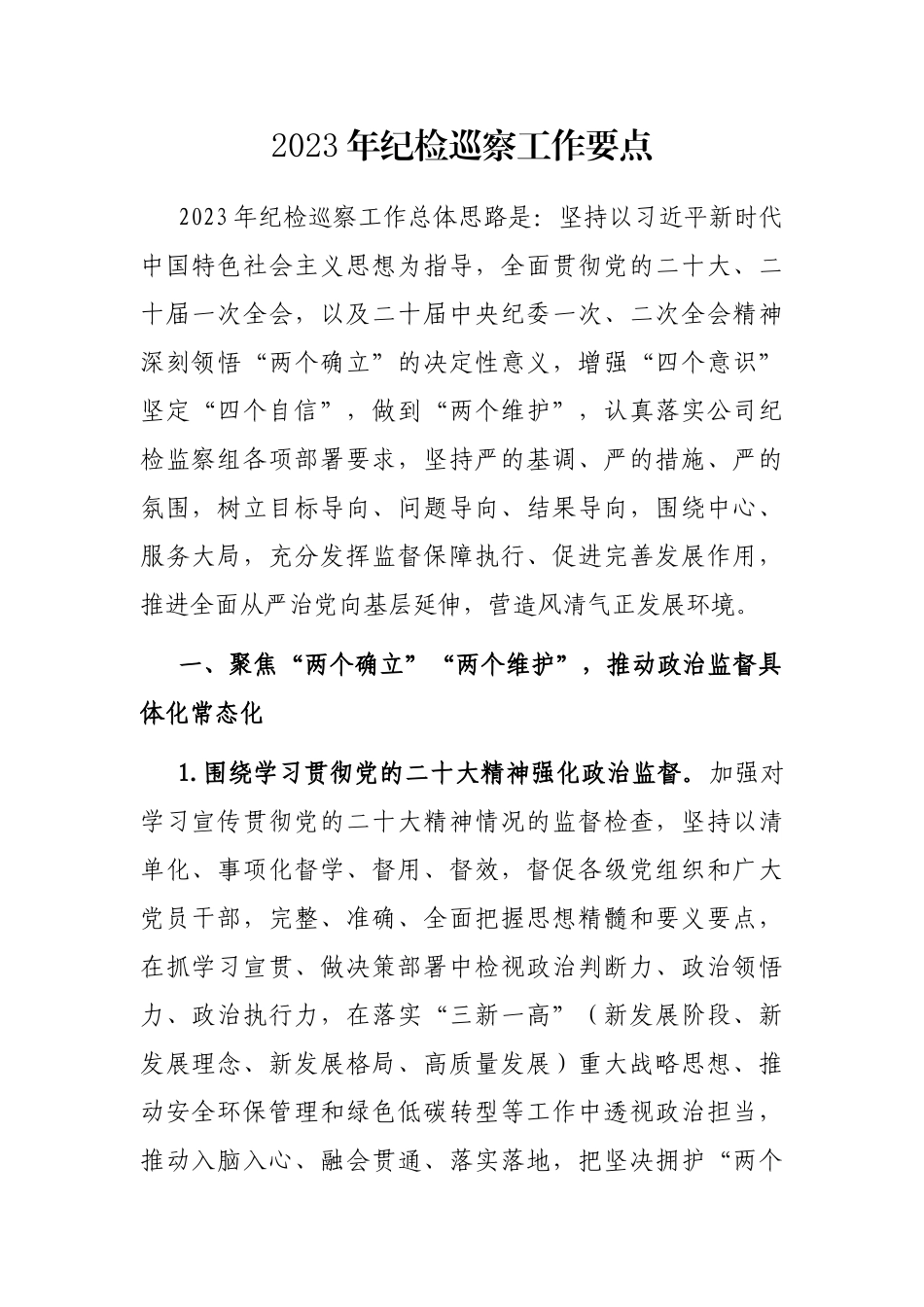 2023年纪检巡察工作要点_第1页