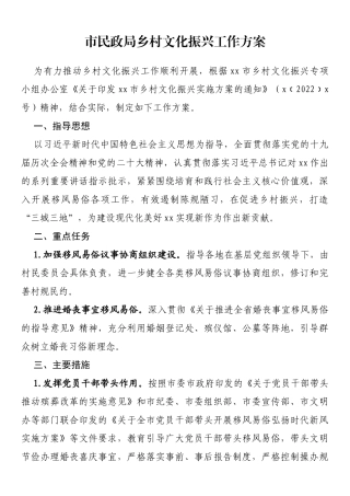 市民政局乡村文化振兴工作方案