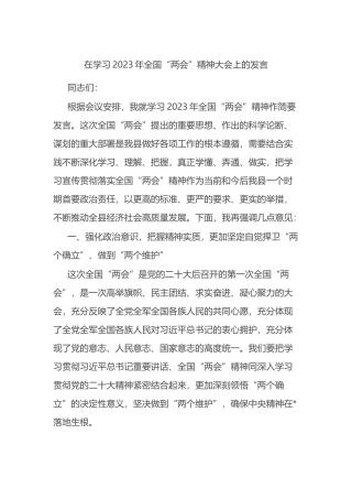 在学习2023年全国“两会”精神大会上的发言