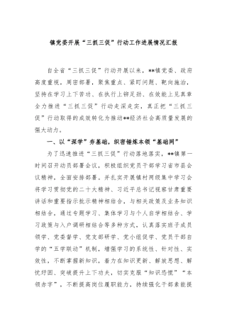 镇党委开展“三抓三促”行动工作进展情况汇报