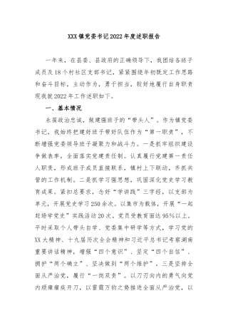 镇党委书记2023年度述职报告