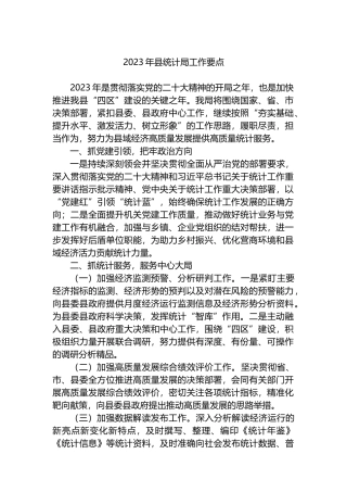 2023年县统计局工作要点