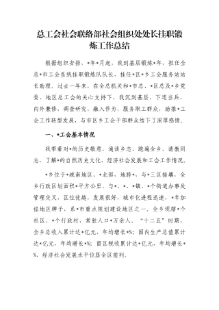 总工会社会联络部社会组织处处长挂职锻炼工作总结