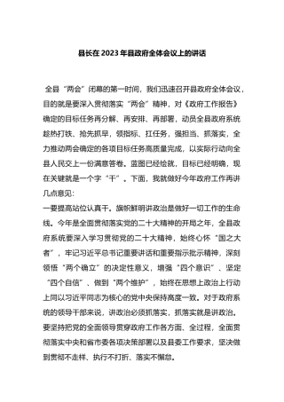 县长在2023年县政府全体会议上的讲话