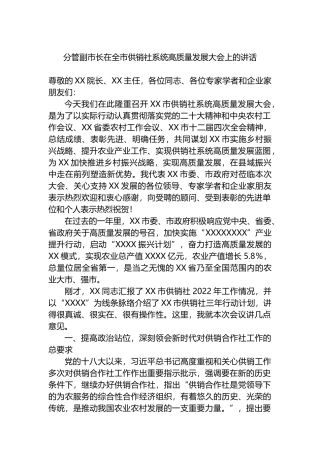 分管副市长在2023年全市供销社系统高质量发展大会上的讲话