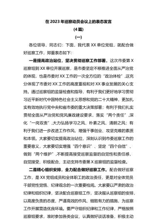 (4篇)在2023年巡察动员会议上的表态发言