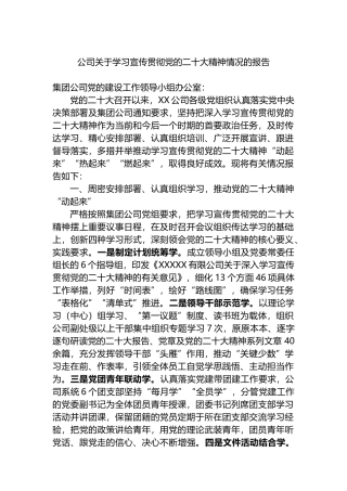 公司关于学习宣传贯彻党的盛会精神情况的报告