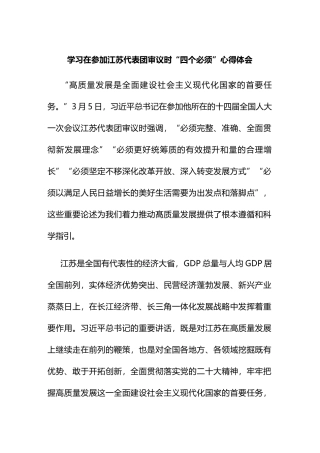 学习在参加江苏代表团审议时“四个必须”心得体会