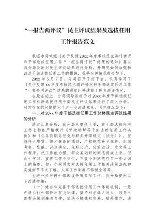“一报告两评议”民主评议结果及选拔任用工作报告范文