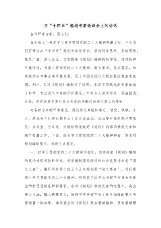 在“十四五”规划专家论证会上的讲话