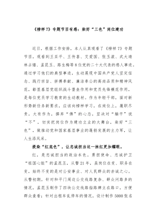《榜样7》专题节目有感：染好“三色” 岗位建功