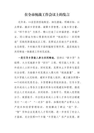 在全市统战工作会议上的发言