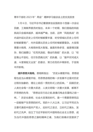 青年干部在2023年”两会”精神学习座谈会上的交流发言