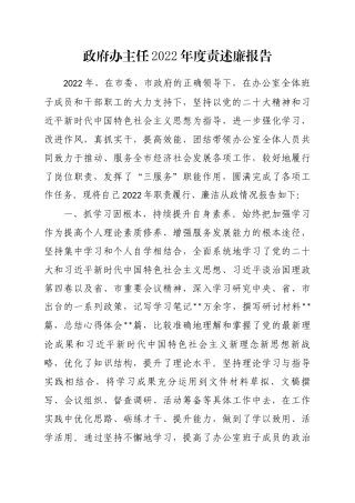 政府办主任2022年度责述廉报告