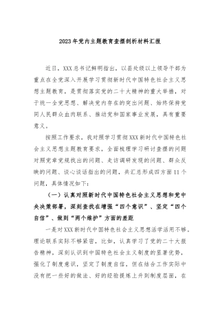 2023年党内主题教育查摆剖析材料汇报