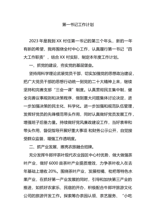 2023年第一书记工作计划