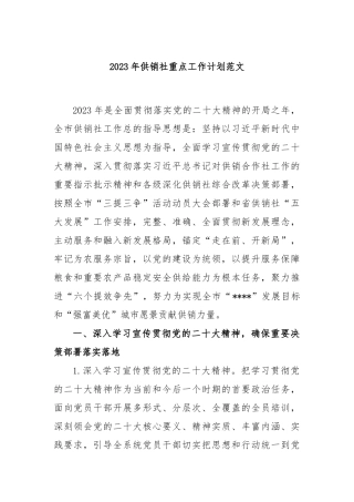 2023年供销社重点工作计划