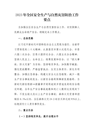 2023年全区安全生产与自然灾害防治工作要点