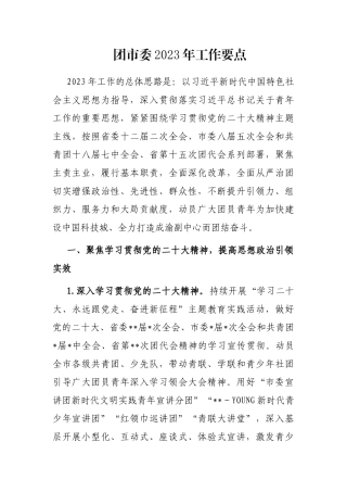 团市委2023年工作要点